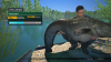 Dovetail Games Euro Fishing.png