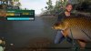 boss carp.jpg
