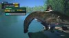 the muddy back boss fish.jpg