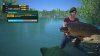 the big common carp boss fish.jpg