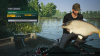 cuttail.png