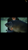 3C4A8252-5472-42FC-80D4-502EC1900443.png