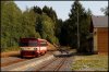 comp_DSC08700.jpg
