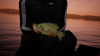 Fishing Sim World (6).png