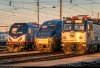 dc8fcb658c240c4706b56b782bfeeeaf--auto-train-light-rail.jpg