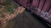 0DAA0E69-CBC2-42DC-8530-B76928CE6739.jpeg