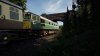 West Somerset bridge.jpeg