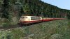 Screenshot_Black Forest Journeys_47.88871-8.14566_18-27-40.jpg