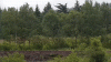 Train Passing Through_1.gif