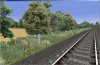 BBShot496.jpg