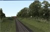 BBShot537.jpg