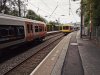IMG_20210204_164449.jpg
