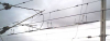 PTFE-Neutral-Section2.png