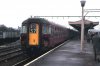 emu309627-1790988769.JPG