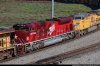 56494.jpg