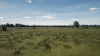 TSW3_Sam_1672175001_00.png