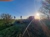 20230219_155226.jpg