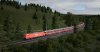 TSW_BRD_1551818306_00.jpg