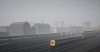 TSW_Dan_1552137373_00.jpeg