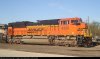DSC01768.jpg