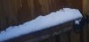 20230308_062042_resized.jpg