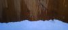 20230308_062717.jpg