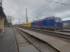 IMG_20230309_102525.jpg