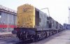 p918292953-3.jpg