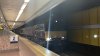 1E16DE64-80FC-4A4B-8D25-2EBBF137AD28.jpeg