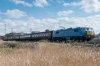 _DSC4821.jpg