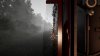 Screenshot_2023-05-12_14-41-02.jpg