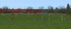 Screenshot_Hamburg to Hanover_53.11503-10.52865_12-50-17.jpg