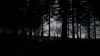 upload_2023-5-30_20-1-5.png
