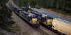 CSXTSW.png