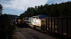 CSXTSW3.png