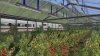 20220813143325 - BR 401 DB ICE.jpg