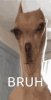 Screenshot_20230617-090820_Google.jpg