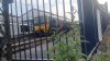 VideoCapture_20230617-200926.jpg