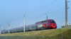 Thalys.PNG