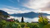 lavaux2.jpg