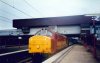 NWC 37 001.jpg