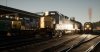 TSW_A dude_1544703485_00.jpg