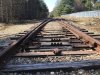 0A231278-6185-472B-BEB0-71F4F84D1E49.jpeg