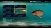 Fishing Sim World_20190508095406 - Copy.jpg