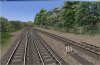 BBShot846.jpg