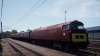 D1001.jpg