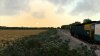 20210629231029 - Class 33 BR Blue Dash-1, Scenery Field.jpg
