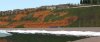 Screenshot_Riviera Line_50.56191--3.47195_08-32-36.jpg