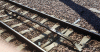 IMG_5952.gif