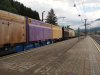 20220730_085042.jpg